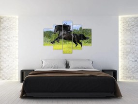 Tablou - Cal cu o coamă curgătoare (150x105 cm)