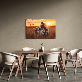 Tablou - Cal la Apus (90x60 cm)
