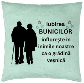 Perna Decorativa pentru Bunici 1, 40x40 cm, Verde Menta, Husa Detasabila, Burduf