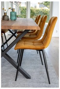 Set 2 scaune dining cu tapițerie din catifea House Nordic Middelfart, galben muștar