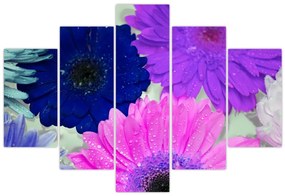 Tablou cu flori colorate (150x105 cm)
