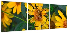 Tablou cu flori galbene (cu ceas) (90x30 cm)