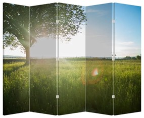 Paravan - Lunca în vară (210x170 cm)