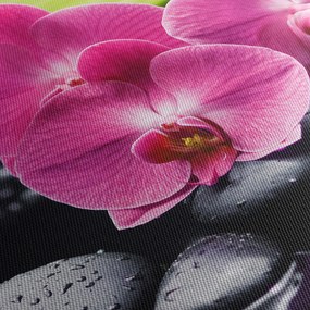 Tablou - Orhidee roz cu frunze de palmier (cu ceas) (90x30 cm)