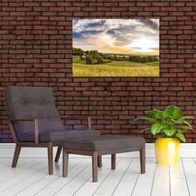 Tablou cu peisaj (90x60 cm)