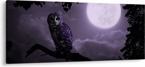 Tablou - Bufniță de noapte, violet (120x50 cm)