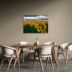 Tablou pe sticlă câmpului de floarea soarelui (70x50 cm)