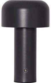 Veioză gri LED (înălțime 21,5 cm) Bobby – Star Trading