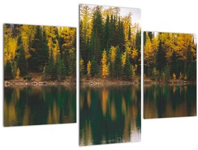 Tablou cu lac de pădure (90x60 cm)