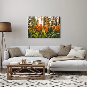 Tablou - florile lalelelor (90x60 cm)