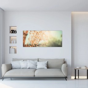 Tablou - Plante după ploaie (120x50 cm)