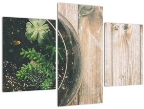 Tablou - Terariu de sticlă (90x60 cm)