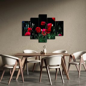 Tablou - Dansul macilor (150x105 cm)