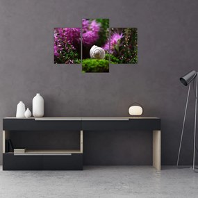 Tablou - Cochilie de melc (90x60 cm)