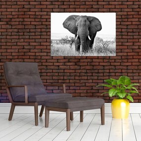 Tablou - Elefantul african II. (90x60 cm)