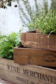 Cutie cu 10 compartimente din lemn de pin, "Wine Merchants"
