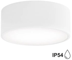 Plafonieră pentru baie Brilagi CLARE 1xE27/24W/230V d. 20 cm IP54 alb