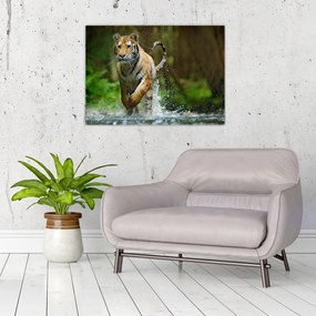 Tablou pe sticlă cu trigrul fugind (70x50 cm)
