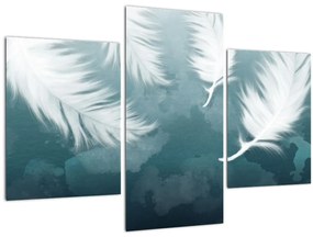 Tablou - Pene albe (90x60 cm)