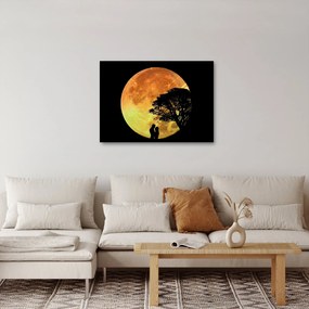 Tablou cu umbre în lumina lunii (70x50 cm)