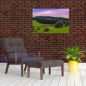 Tablou cu lunca (90x60 cm)