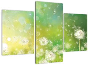 Tablou - Păpădie înflorită (90x60 cm)