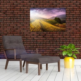 Tablou peisajului (90x60 cm)