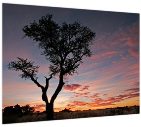 Tablou - Copac și nuanțe roșiatice (70x50 cm)