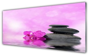 Tablouri acrilice Pietrele de flori Arta Roz Gri
