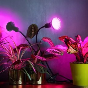 Lampă flexibilă de masă cu clemă pentru creșterea plantelor PLANTY 2xE27/30W/230V negru