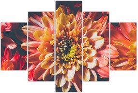 Tablou - Crizantemă (150x105 cm)