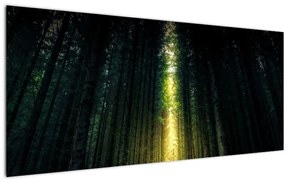 Tablou cu pădurea întunecată (120x50 cm), în 40 de alte dimensiuni noi