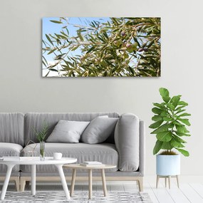 Tablou pe pânză canvas Oliv