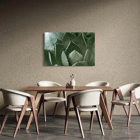 Tablou - Agave verde (90x60 cm)