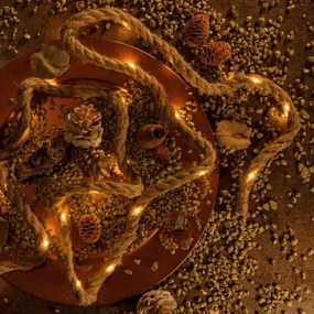 Set frânghie decorativă cu LED-uri, 25 LED-uri, alb cald, 3