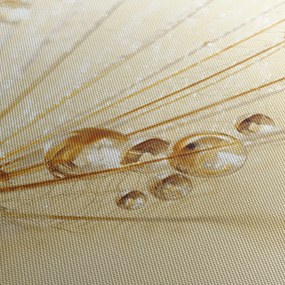 Tablou - Fotografie macro de păpădie (cu ceas) (90x30 cm)