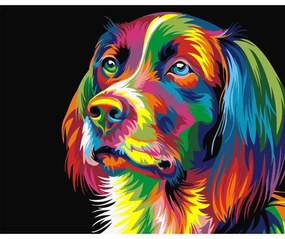 Pictura pe numere cu un cadru "Câine colorat" 50x40 cm