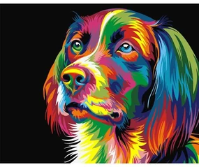 Pictura pe numere cu un cadru "Câine colorat" 50x40 cm
