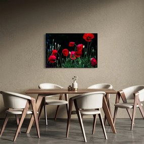 Tablou - Dansul macilor (90x60 cm)