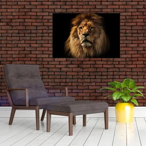 Tablou - Leu cu o coamă bogată (90x60 cm)