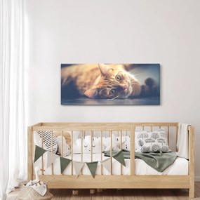 Tablou - Pisici pe podea (120x50 cm)