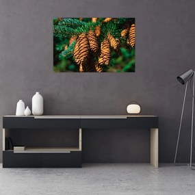 Tablou cu con de brad (90x60 cm)