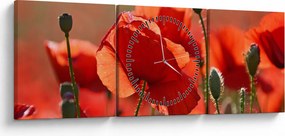Tablou cu flori de maci (cu ceas) (90x30 cm)
