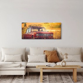 Tablou cu mașină în câmp (120x50 cm)