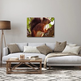 Tablou cu veverița (70x50 cm)