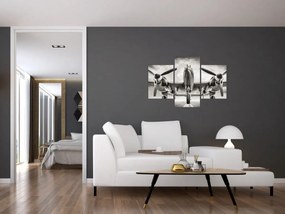 Tablou - Warbird (90x60 cm)