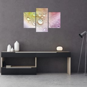 Tablou - Picături de rouă (90x60 cm)