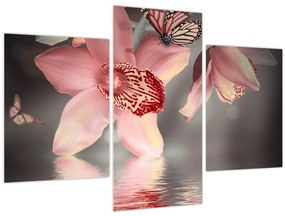 Tablou - Flori și fluture (90x60 cm)