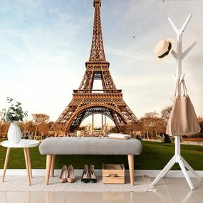 Fototapet turnul Eiffel faimos