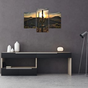 Tablou - cactușii la soare (90x60 cm)